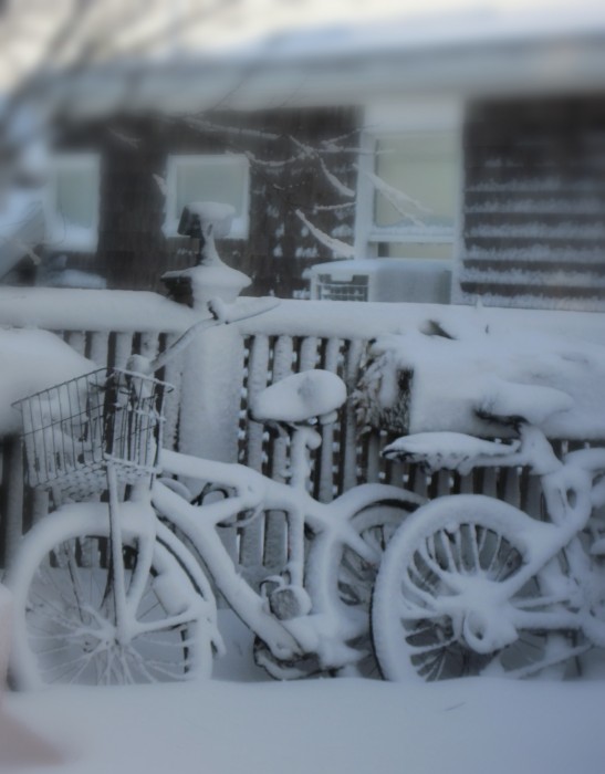 Bicycles in January