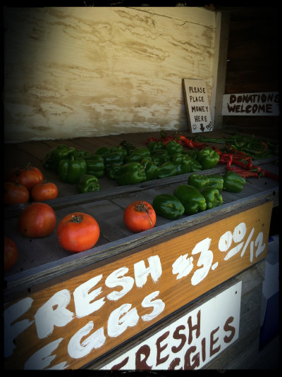 Farmstand, Honeoye Falls, NY